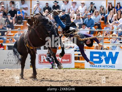 Erin, Kanada. Juli 2024. Ein Cowboy stürzt bei der RAM Rodeo Tour 2024 in Erin, Ontario, Kanada, am 21. Juli 2024 in den Sattel Bronc. Quelle: Zou Zheng/Xinhua/Alamy Live News Stockfoto