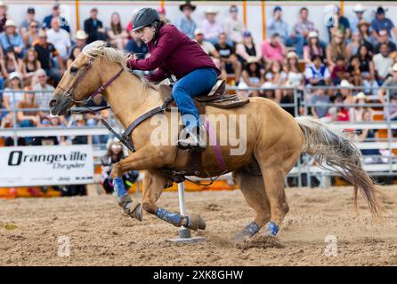 Erin, Kanada. Juli 2024. Ein Cowgirl nimmt am 21. Juli 2024 an der Pole Racing-Veranstaltung der RAM Rodeo Tour 2024 in Erin, Ontario, Kanada Teil. Quelle: Zou Zheng/Xinhua/Alamy Live News Stockfoto