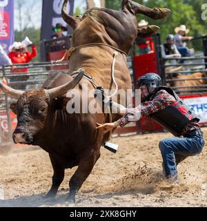 Erin, Kanada. Juli 2024. Ein Cowboy stürzt sich am 21. Juli 2024 bei der RAM Rodeo Tour 2024 in Erin, Ontario, Kanada. Quelle: Zou Zheng/Xinhua/Alamy Live News Stockfoto