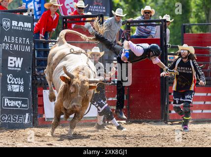 Erin, Kanada. Juli 2024. Ein Cowboy stürzt sich am 21. Juli 2024 bei der RAM Rodeo Tour 2024 in Erin, Ontario, Kanada. Quelle: Zou Zheng/Xinhua/Alamy Live News Stockfoto