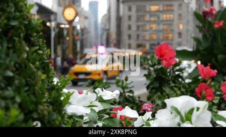 New York City, USA, Manhattan Midtown Broadway, 23 Street, Kreuzung 5 Avenue. Worth Square in der Nähe von Madison Park, Flatiron, USA. Gelbes Taxi, Blumen, Straßenuhr, Schulbus. Stockfoto