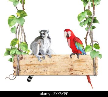 RingschwanzLemur und Ara Papagei auf altem Holzbrett. Dschungel-Holzschild mit Lianenzweigen, Vogel und Tier. Isoliert auf weißem Hintergrund. Modell-Temp Stockfoto