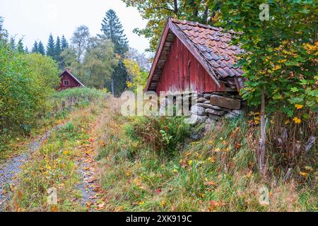 Idyllischer alter Wurzelkeller an einer Schotterstraße im Herbst Stockfoto