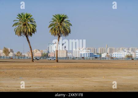 Zwei Palmen in der Wüste mit dem Stadtpanorama von Dschidda, Saudi-Arabien, mit den modernen Architekturgebäuden und dem Wohngebiet, Mittlerer Osten. Stockfoto