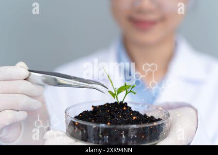 Nahaufnahme von Biologen-Händen mit Schutzhandschuhen, die junge Pflanze mit Wurzeln über Petrischale mit mikroskopischem Boden im biotechnologischen Hintergrund pl Stockfoto