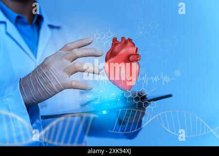 Ärztin hält virtuelle volumetrische Zeichnung des Herzens in der Hand. Handgezeichnetes menschliches Organ, Kopierraum auf der rechten Seite, graue hdr-Farbe. Krankenhaus im Gesundheitswesen Stockfoto