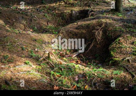 Real Easy Company Fuxholes Bois Jaques, Bastogne, Belgien Stockfoto