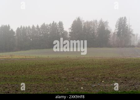 Der Assenois-Bunkerplatz bei Fortin Boggess bei Bastogne Stockfoto