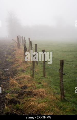 Die Belagerung von Bastogne Battlefield, die Schlacht um Noville's Landscape in Belgien Stockfoto