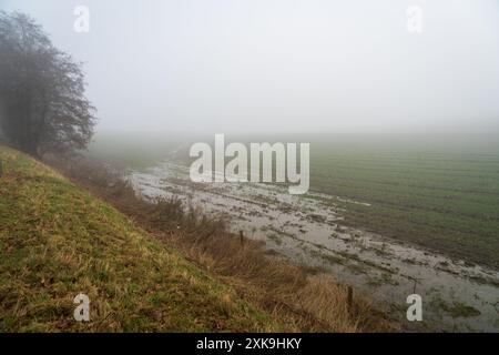 Die Belagerung von Bastogne Battlefield, die Schlacht um Noville's Landscape in Belgien Stockfoto