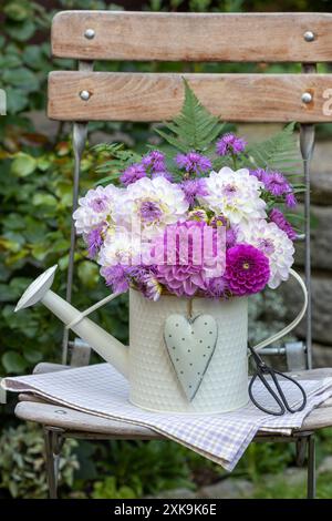 Strauß aus rosa und weißen Dahlienblüten und Wiesenknapweed in dekorativer Gießkanne auf dem Gartenstuhl Stockfoto