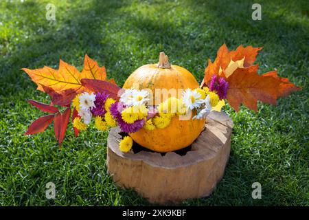 Herbstkomposition aus großen orangefarbenen Kürbissen, mehrfarbigen Chrysanthemen, bunten Blättern im Hinterlicht Stockfoto