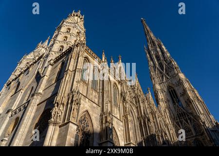 Wien, Österreich - 28. Oktober 2023 : verzierte Steinfassade des Stephansdoms in Wien, Österreich. Der Turm reicht nach einem tiefblauen Himmel. Stockfoto