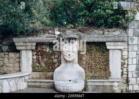 Siamkatze im malerischen Dorf Saint Paul de Vence in Südfrankreich Stockfoto