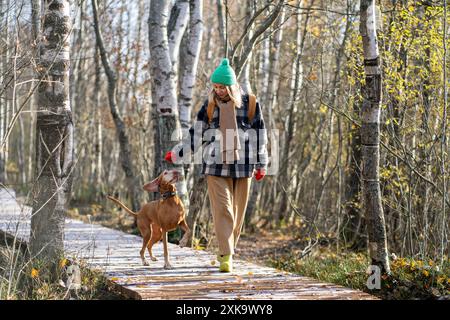 Die Frau spielt und gibt dem reinrassigen Hund Magyar Vizsla Snacks, spaziert auf einem Holzweg im Herbstwald Stockfoto