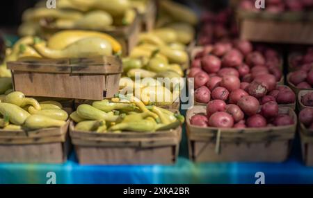 Kartoffeln und Kürbis auf einem Bauernmarkt. Stockfoto