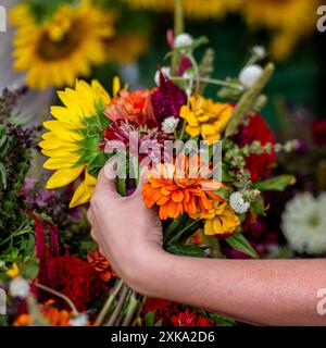 Die Hand einer Frau, die einen Blumenstrauß hält. Stockfoto