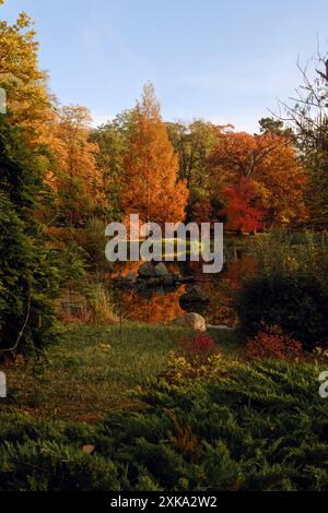 Japanischer Garten im Herbst in Breslau Stockfoto