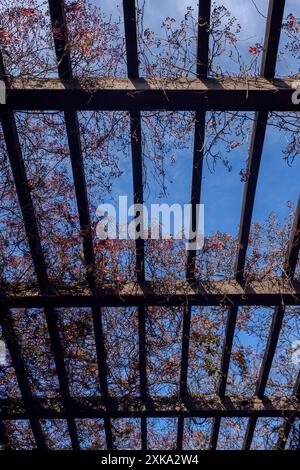 Japanischer Garten in Breslau im Herbst Stockfoto