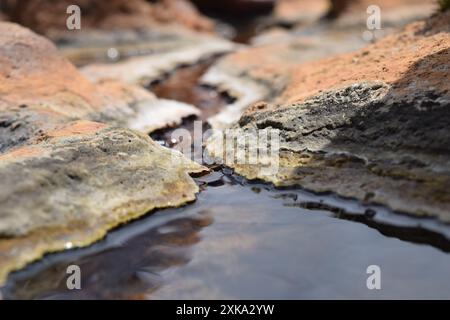 Versteinerte Formen in Hierve el Agua Hot Springs in Oaxaca Stockfoto