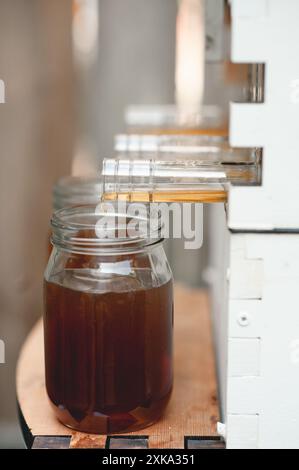 Frischer Honig aus einem Hinterhof-Bienenstock ernten Stockfoto