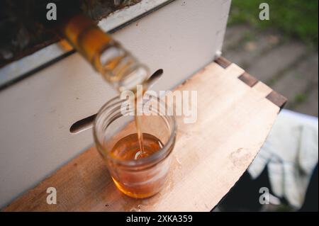 Honigernte aus einem Bienenstock im Hinterhof Stockfoto