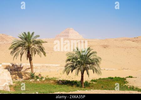 Palmen, die die alte Stufenpyramide von Djoser, Sakkara, Ägypten umrahmen Stockfoto