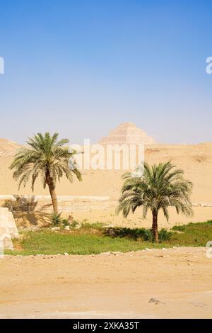 Schritt Pyramide von Djoser in der Wüste und Palmen, Sakkara, Ägypten Stockfoto