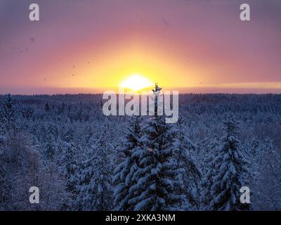 Gefrorener arktischer Wald, bedeckt mit Schnee bei Sonnenuntergang, Lappland, Finnland Stockfoto