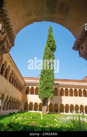 Zypressen und Kreuzgang. Kloster Santo Domingo de Silos, Burgos Provinz Kastilien-Leon, Spanien. Stockfoto