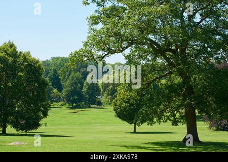 Gadebridge Park im Juli, Hemel Hempstead, Hertfordshire, Großbritannien Stockfoto