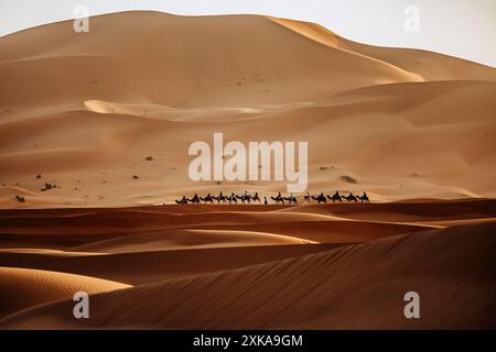 Kamelritt in der marokkanischen Sahara während des Sonnenuntergangs, Erg chebbi Südessay von Marokko, eine Gruppe von Touristen, die ihren Kamelritt im Sand genießen Stockfoto