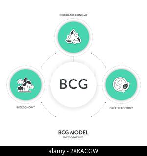 BCG-Modellstrategie Infografik-Diagramm-Bannervorlage für die Präsentation enthält die Prinzipien Bioökonomie, Kreislaufwirtschaft und grüne Wirtschaft. Sustaina Stock Vektor