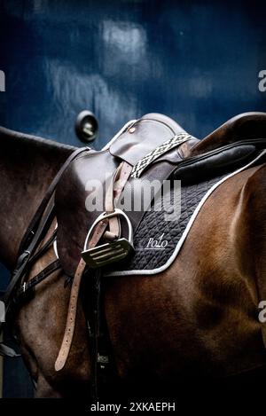 Polopony mit Teethering. Stockfoto