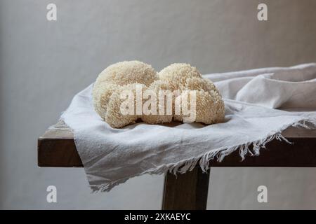 Big Lion's Maine roher Pilz auf dem Tisch. Stockfoto