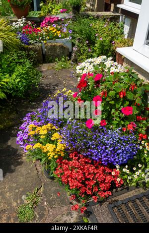 Helle Sommerbettpflanzen in einer Ausstellung vor einem Haus in einem englischen Landgarten. Stockfoto