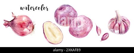Aquarellillustration von Kartoffeln, Zwiebeln und Knoblauch auf weißem Hintergrund mit Schlüsselwörtern Stockfoto