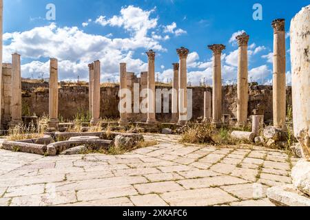 Macellum (Fleischmarkt), Jerash (Gerasa) Römerstadt, Jordanien Stockfoto