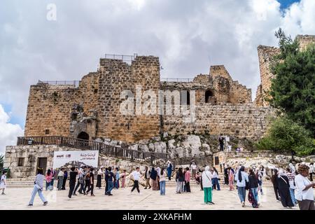 Schloss Ajloun, 12. Jahrhundert n. Chr. Ayyubidische Muslime, Jordanien Stockfoto