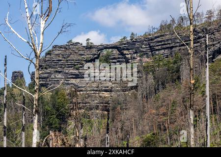 Hrensko, Tschechische Republik. Juli 2024. Das Pravcicka-Tor in der Brandstelle nach einem 2022 Großbrand im Nationalpark der Tschechischen Schweiz, Bezirk Decin, Region Usti nad Labem, Tschechische Republik, 19. Juli 2024. Quelle: Vojtech Hajek/CTK Photo/Alamy Live News Stockfoto