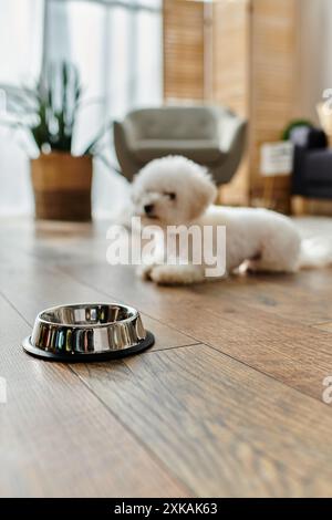 Ein kleiner weißer Bichon Frise Hund, der friedlich neben einer Schüssel ruht. Stockfoto