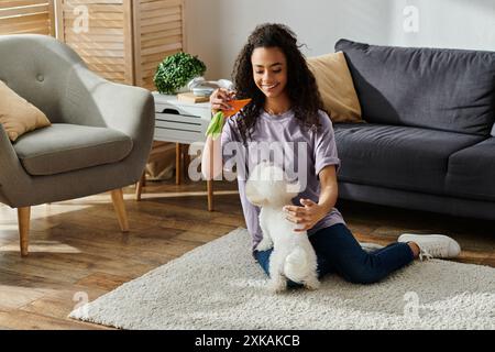 Eine Frau, die auf dem Boden sitzt und einen kleinen weißen Bichon Frise Hund bettet. Stockfoto