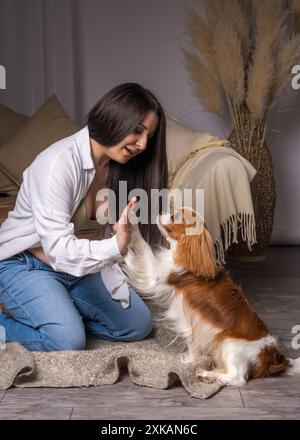 Junge schwangere Frau, die zu Hause auf dem Sofa sitzt. Er lacht fröhlich und spielt mit seinem Hund. Cavalier-König charles, Cocker Spanie Stockfoto