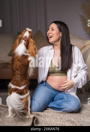 Eine süße junge schwangere Frau in weißem Hemd und blauer Jeans mit offenem Bauch sitzt zu Hause auf dem Boden, lacht fröhlich und spielt mit ihrem Hund Stockfoto