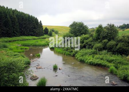 Illinkoski Stromschnellen, Uskelanjoki Fluss in Pertteli, Salo, Finnland, von der Illinkoski Brücke aus gesehen an einem bewölkten Tag im Juli. Stockfoto