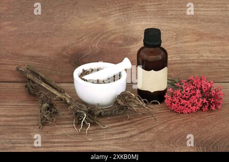 Die Herstellung der Baldrianwurzel für die Naturmedizin mit Mörtel. Behandelt Schlaflosigkeit, Stress, Angst, Verdauungsgesundheit, Menstruationskrämpfe. Stockfoto