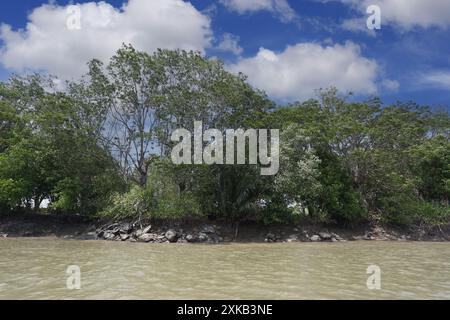 Landschaft rund um den Pang Pakong mit Felsen, Bäumen am Ufer und weißen Wolken am Himmel. Das ist in der Provinz Chachoengsao in Thailand Stockfoto