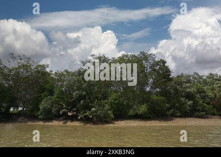 Landschaft rund um den Pang Pakong mit Felsen, Bäumen am Ufer und weißen Wolken am Himmel. Das ist in der Provinz Chachoengsao in Thailand Stockfoto