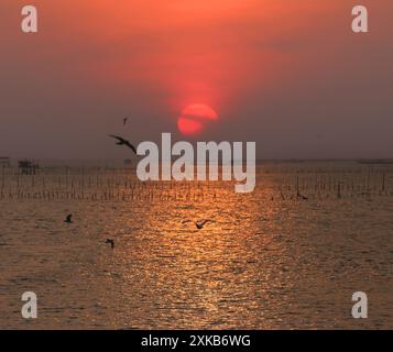 Glattes Meer und Dämmerungshimmel im Hintergrund nach Sonnenuntergang Himmelblick für natürliche Landschaftsgestaltung, Meeresmuschelfarm in Chonburi Provinz, Thaila Stockfoto