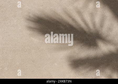 Schatten von Palmblättern auf beiger Kalksteinwand im Sonnenlicht. Abstrakter natürlicher Hintergrund, Hintergrundbild. Hintergrund für Grunge-Textur. Florale Schatten Stockfoto